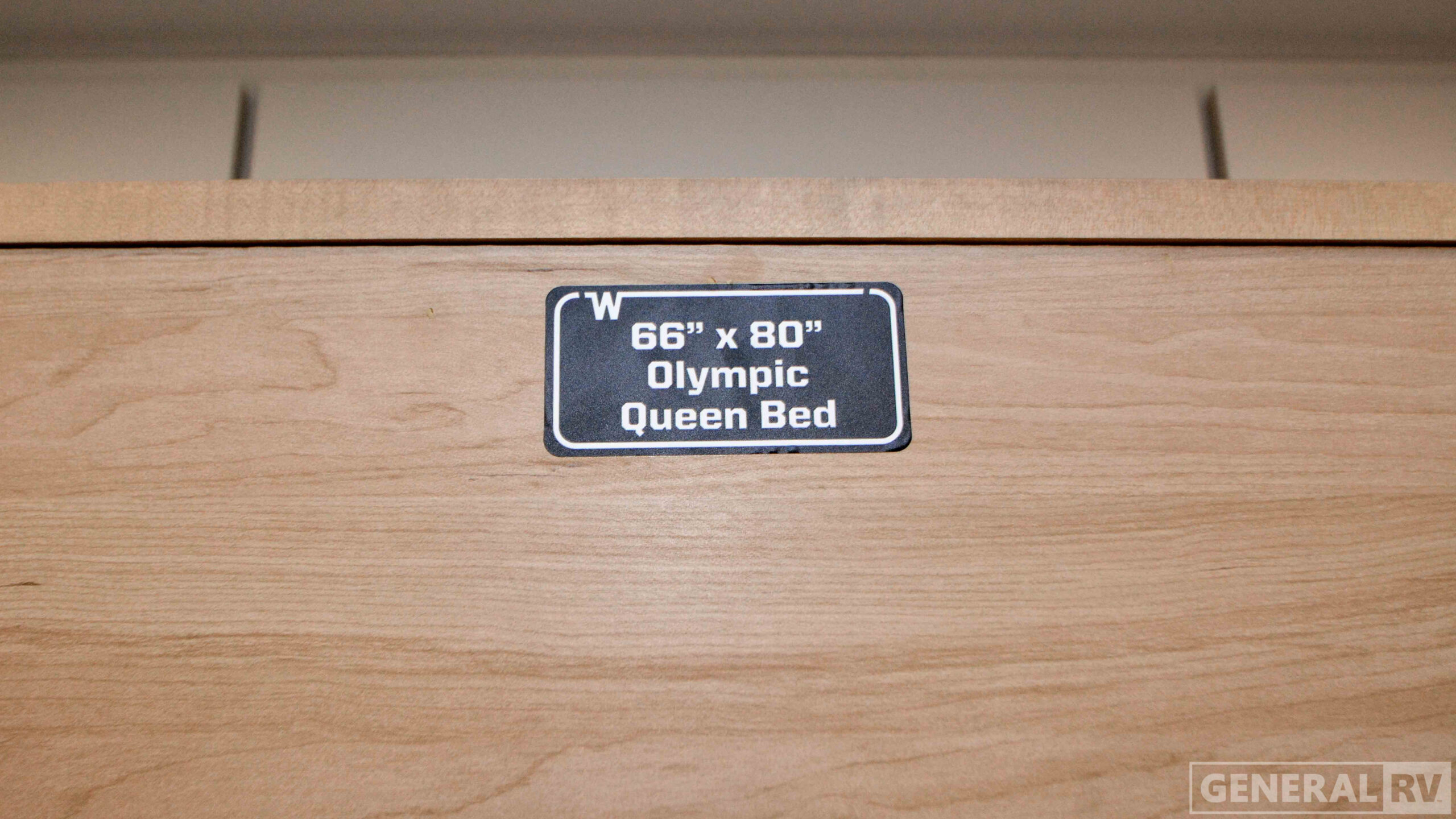 Thrive/22MBH/2026 image-11