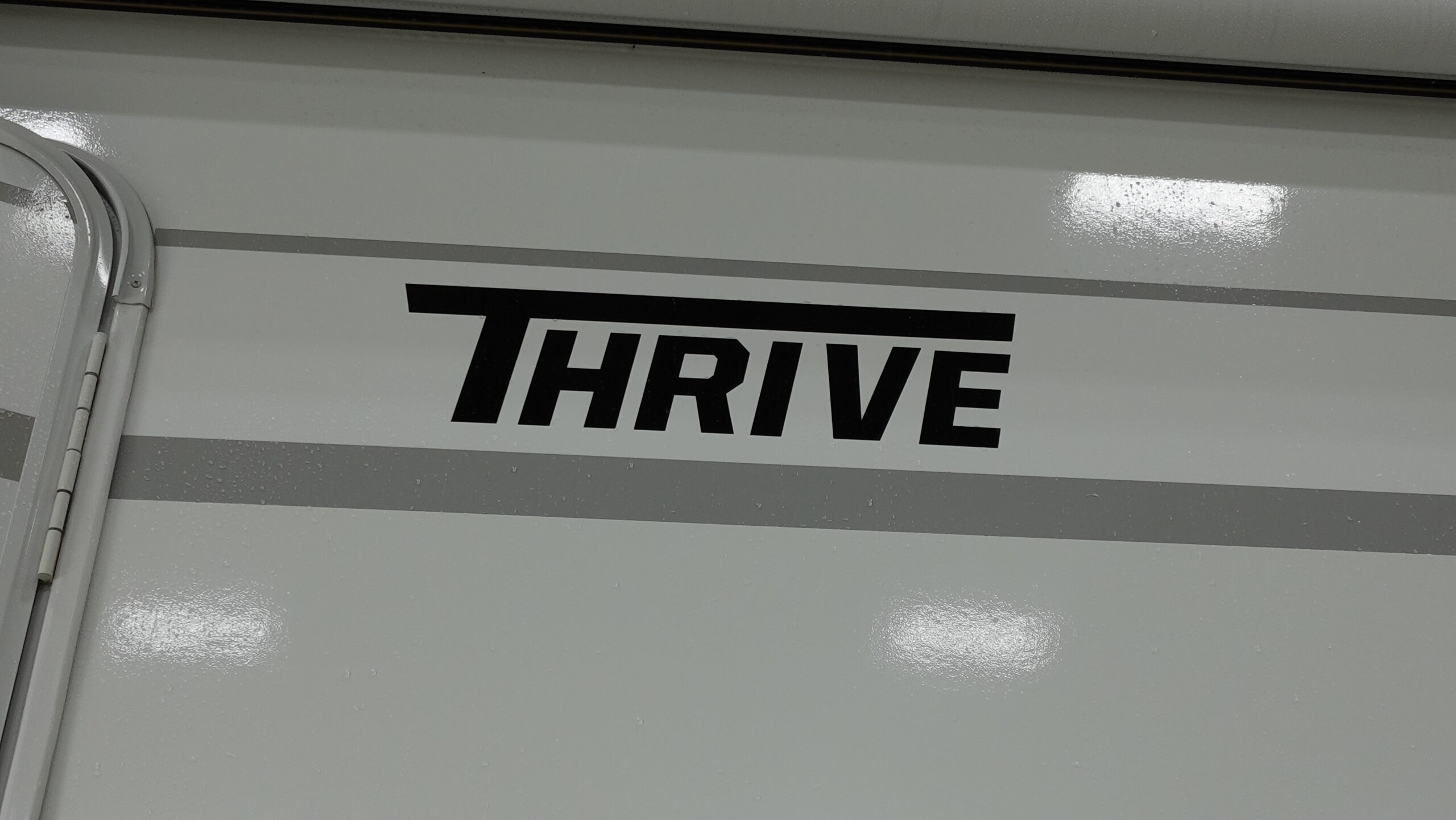 Thrive/26FKD/2026 image-26
